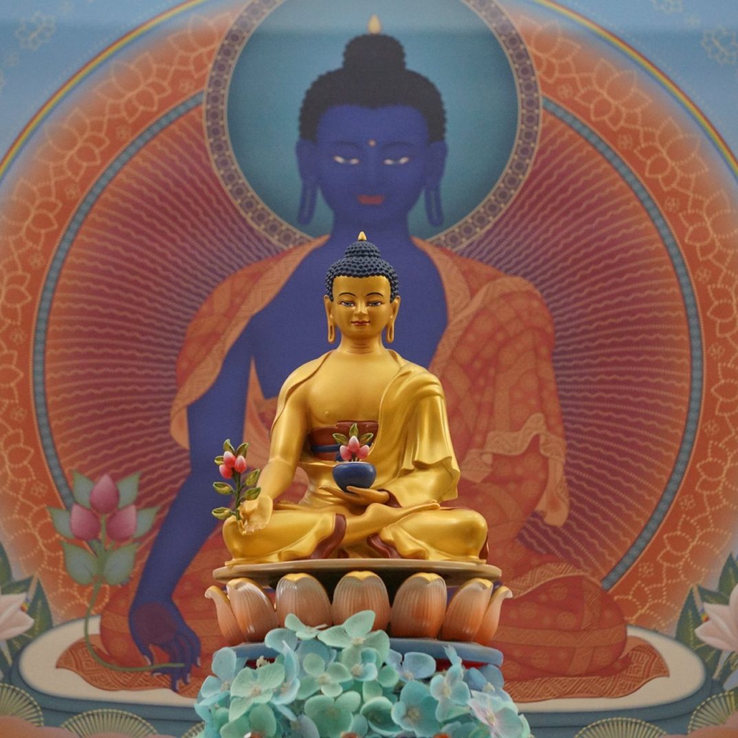 Buda-de-la-medicina-n