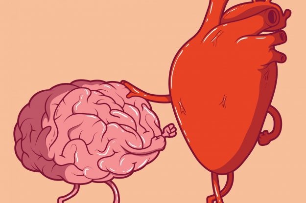 heart fight brain