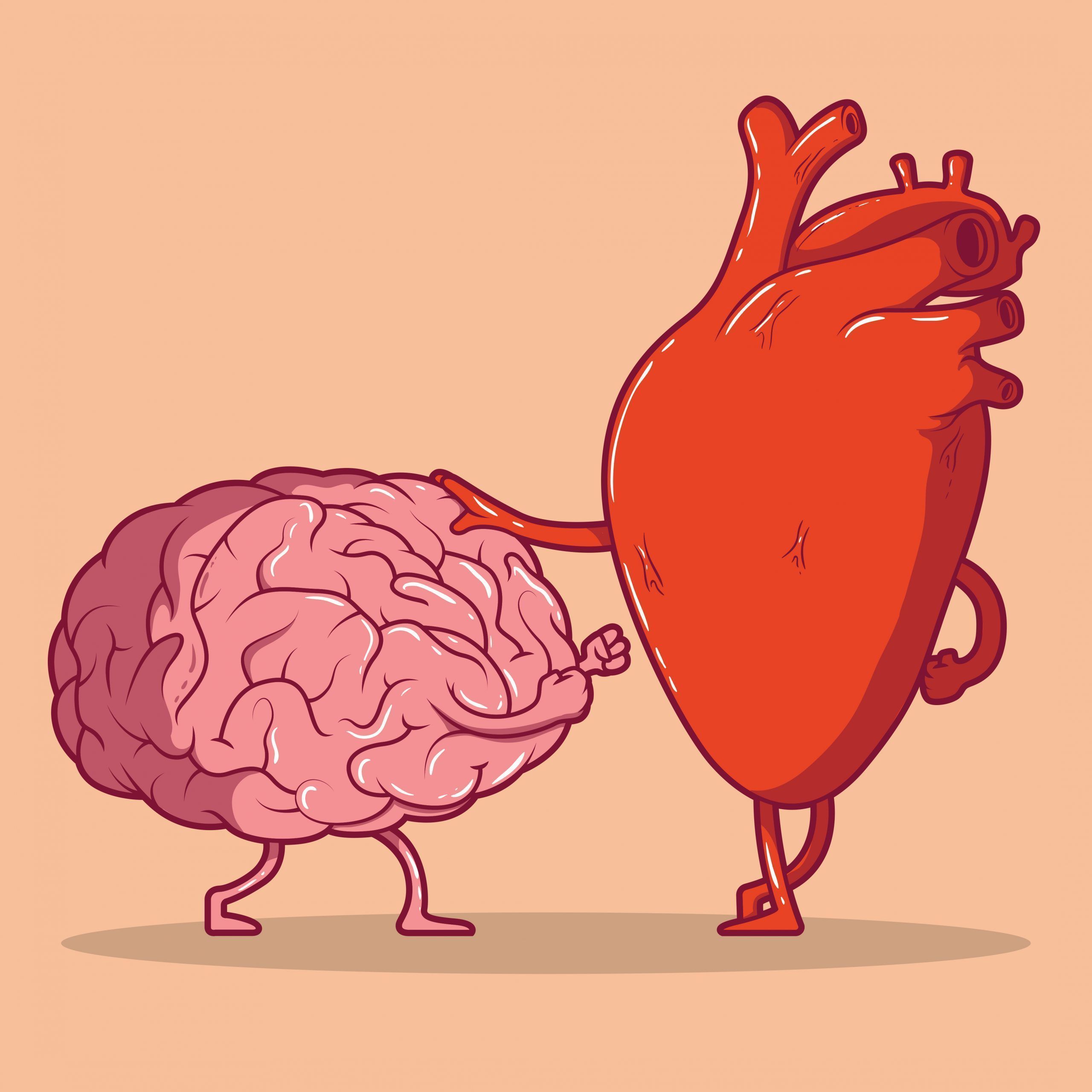 heart fight brain