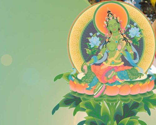 Tara-nacional Tara-nacional