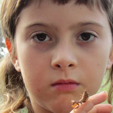 voluntariado jardineria niña mariposa