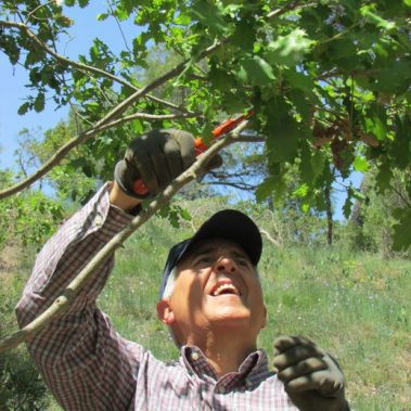 voluntariado jardineria parra