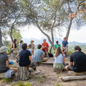 Curso de meditación en Montserrat