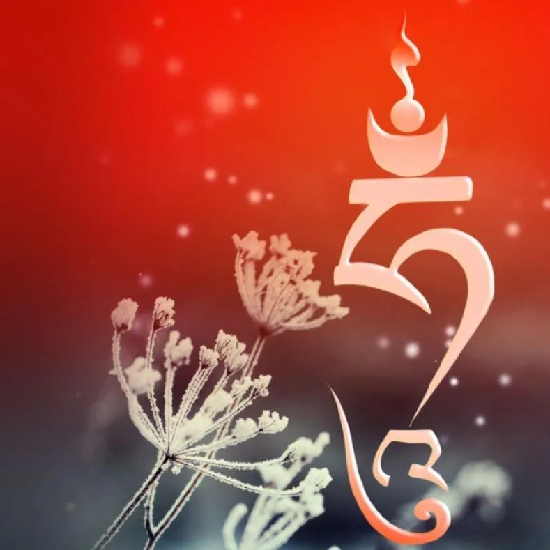 Meditaciones del Mahamudra