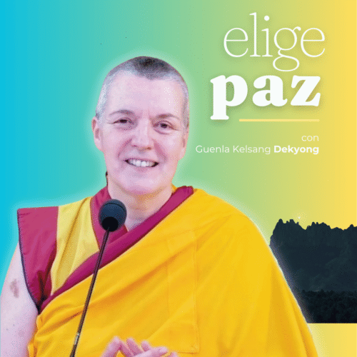 Flyers por mes A6 (1)